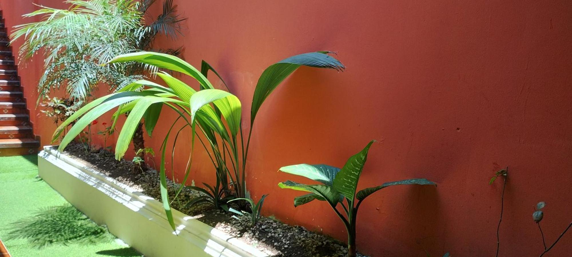 Hotel City Of Dreams Antigua Bagian luar foto